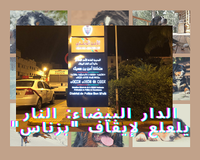 الدار البيضاء: النار يلعلع لإيقاف "بزناس"