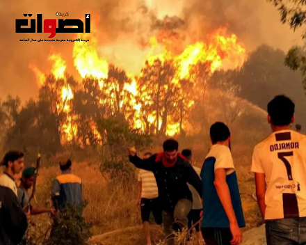 مقتل 34 شخصا ضمنهم 10 عسكريين في حرائق الجزائر والجهود متواصلة للسيطرة على النيران