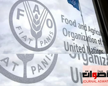 دعم إفريقي للمغرب يثمر الحصول على العضوية في مجلس إدارة منظمة الأغذية والزراعة
