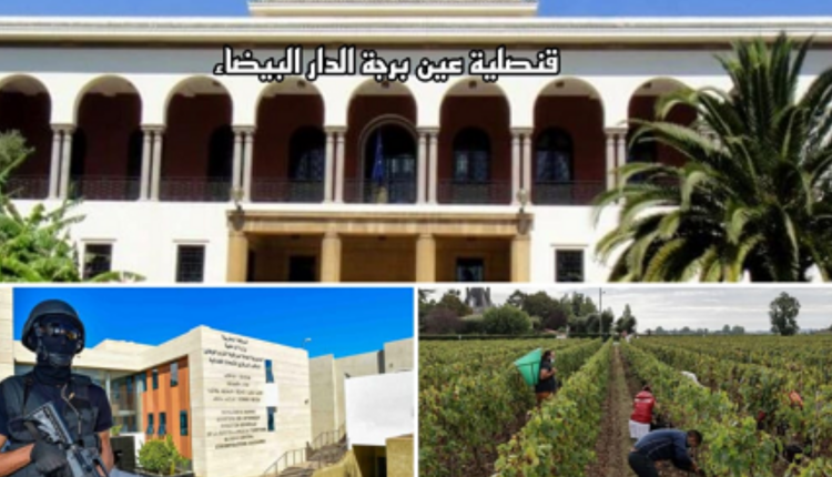من يحمي سماسرة الفيزا بفاس؟