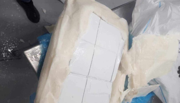 العثور على شحنة كبيرة من الكوكايين وسط الأسماك المجمدة بالبيضاء