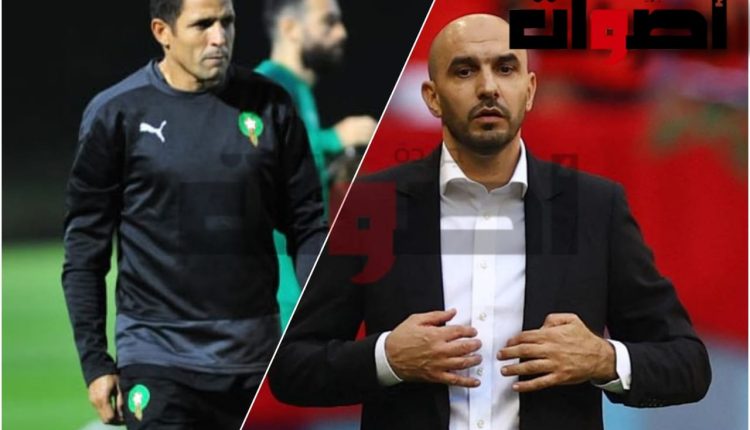 هل ينذر تميز المدربين المغاربة دوليا باشتداد المنافسة مستقبلا على قيادتهم للمنتخب الوطني؟