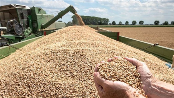 المغرب يحدث آلية لدعم تخزين القمح اللين