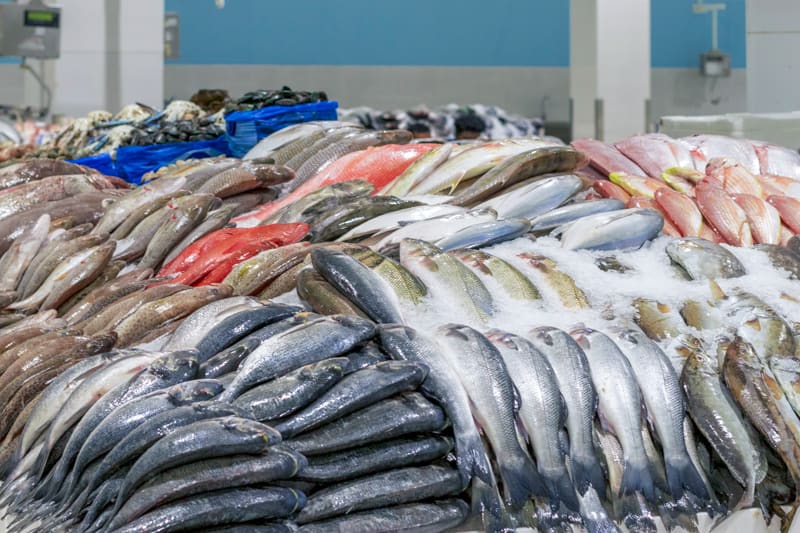 أسعار الأسماك تحلق عاليا في أول أيام رمضان