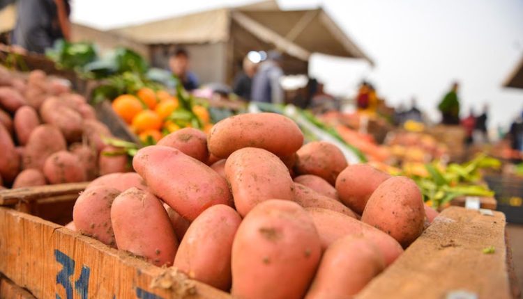 مصدرو الخضر يطالبون برفع الحظر على التصدير ويحذرون من التهريب