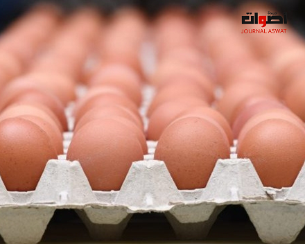 عين على السوق: ارتفاع كبير لأسعار البيض في المغرب قبيل رمضان