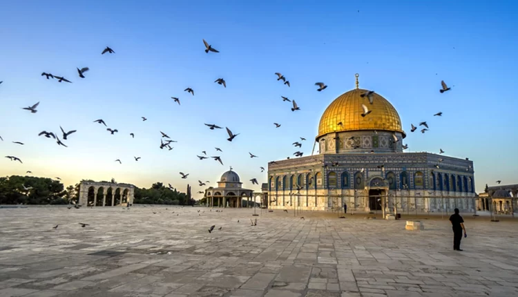 "بيت مال القدس" تنهي عملية السلة الغذائية وتواصل توزيع السلال الغذائية
