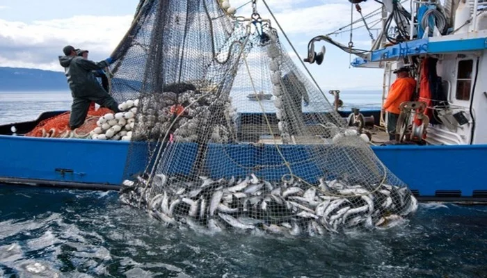 ارتفاع الكميات المفرغة من منتوجات الصيد الساحلي بالصويرة