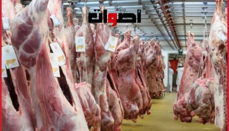 انطلاق العمل بالمجازر الجهوية الجديدة بجماعة أبي القناديل