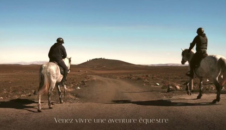 اختتام الدورة الثالثة من رالي المغرب للفروسية بإفران