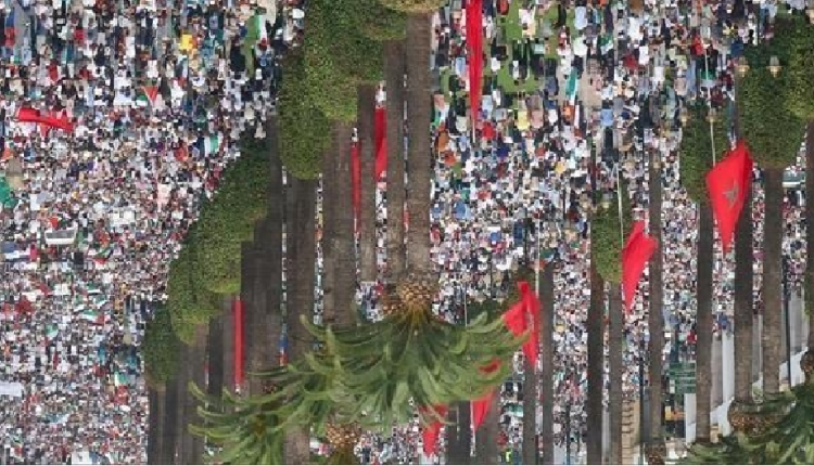 هيئة مغربية: 106 مظاهرة تضامنا مع غزة ضد الحرب الإسرائيلية
