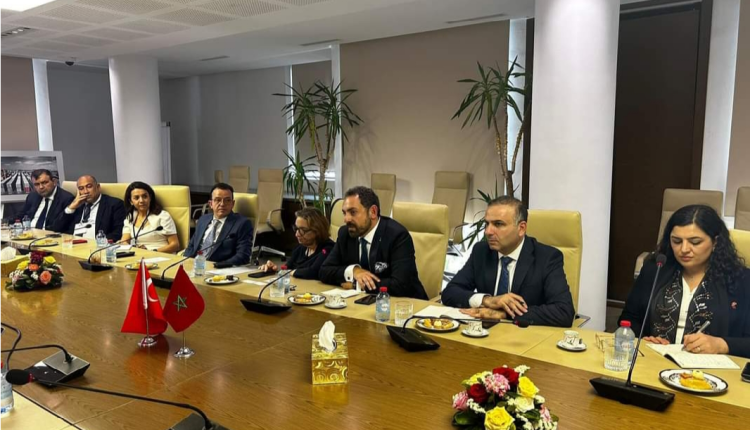 المغرب وتركيا : تعزيز التعاون في مجالي الطاقة والتعدين