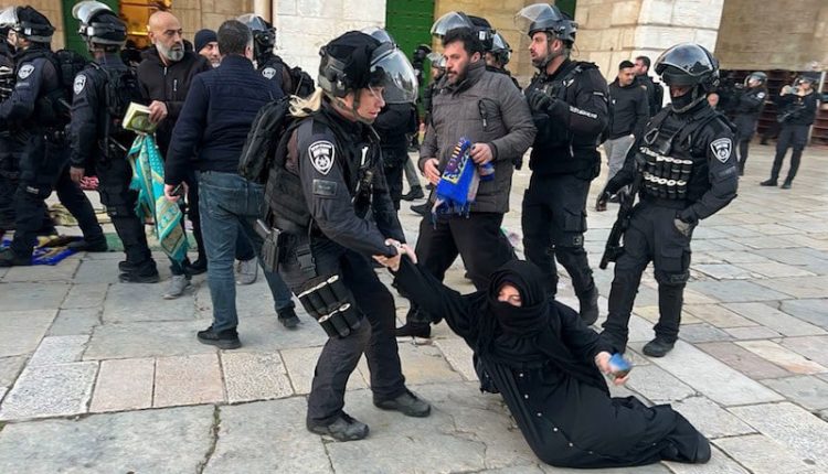 Occupation