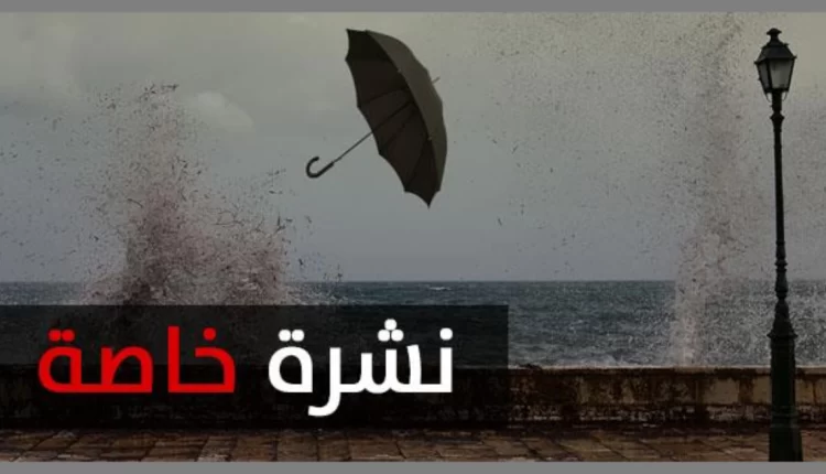 زخات رعدية ورياح قوية