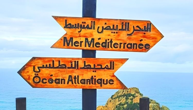تزايد الشكاوى من المواطنين حول الفوضى في الأسعار