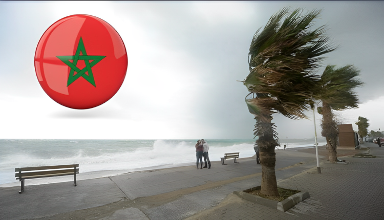 meteo