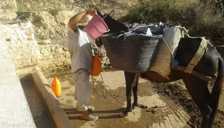 تحديات المناخ وآثاره على الفلاحة المغربية: إشكالية إدارة الموارد المائية