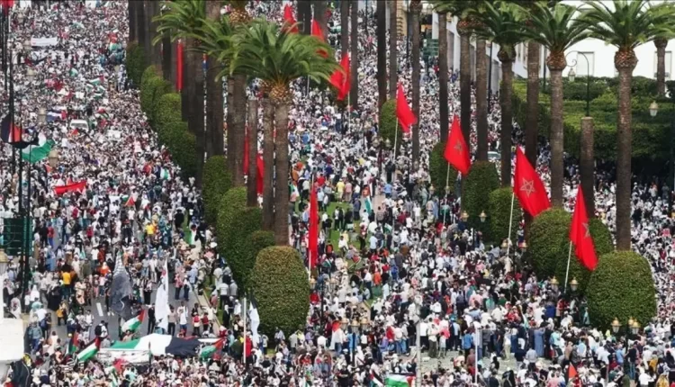 الشعب المغربي يعبر عن تضامنه مع الفلسطينيين للأسبوع الثامن والأربعين