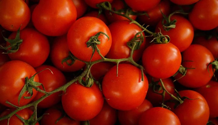 TOMATE