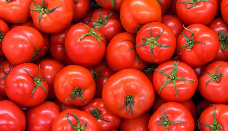 Tomate