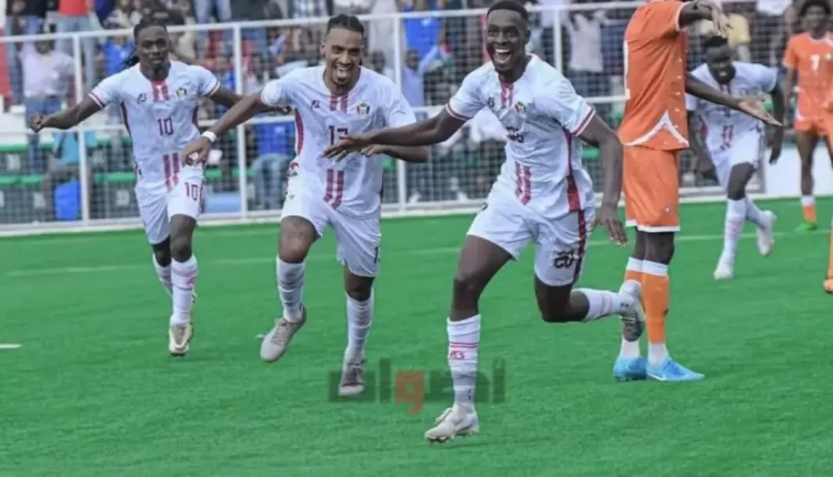 النيجر يسقط في الجولة الأولى من تصفيات كأس أمم إفريقيا ويستعد لمواجهة غانا