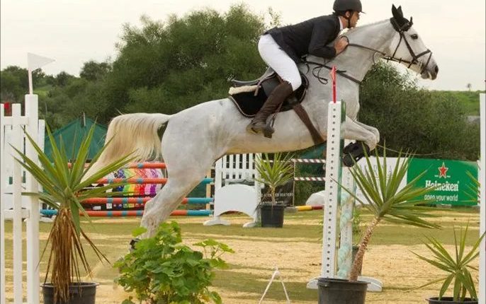Équitation