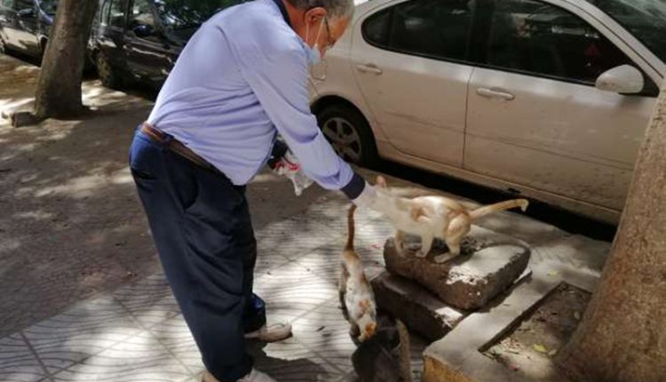 صورة تعبيرية