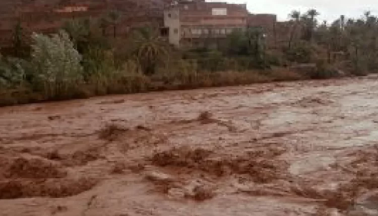 وزير التجهيز: حمولة تساقطات مطرية غير مسبوقة تسببت في تضرر الجسور بالجنوب الشرقي