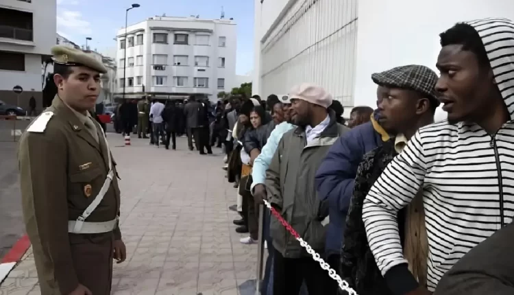 منظمة الصحة العالمية تشيد بالرؤية الواضحة للمغرب بشأن صحة المهاجرين واللاجئين