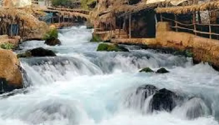 أم الربيع