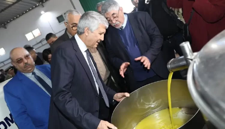 "وزير الفلاحة البواري تحت المجهر البرلماني بسبب ارتفاع أسعار زيت الزيتون"
