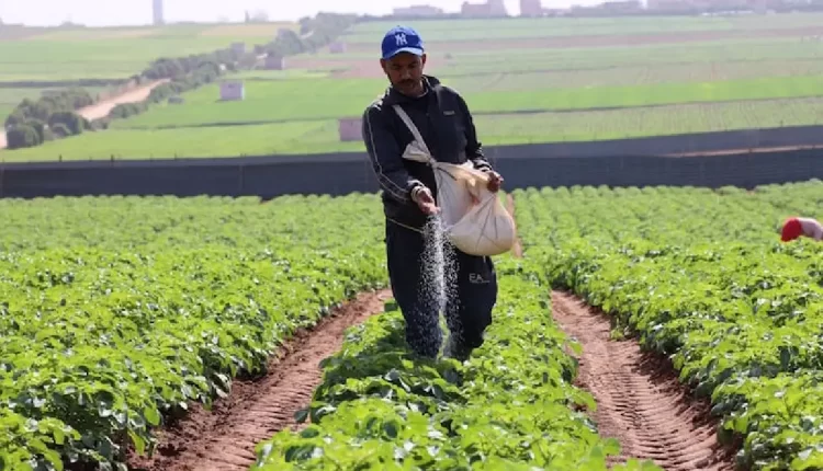 وزارة الاقتصاد تُحدث تحولات جديدة في برنامج التخفيف من آثار الجفاف على القطاع الفلاحي