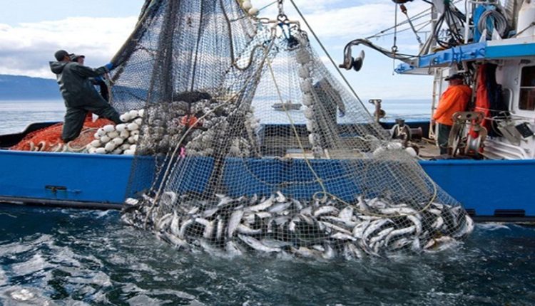 Pêche profonde