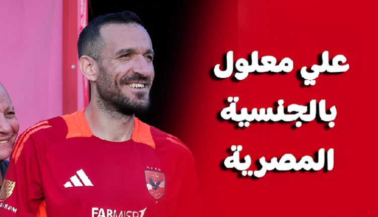 علي معلول
