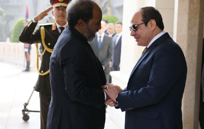 رؤساء مصر والصومال وإريتريا