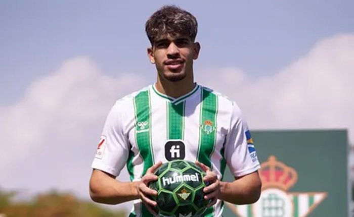 اللاعب الزلزولي