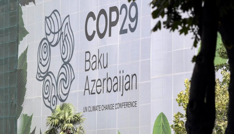 COP29