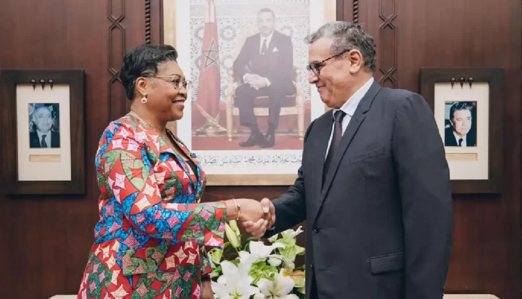 تعزيز أواصر التعاون: لقاء تاريخي بين المغرب وجمهورية الكونغو الديمقراطية