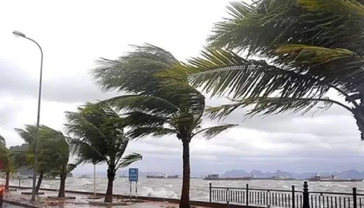 نشرة إندارية :يوم غدا رياح قوية بهذه المناطق تصل إلى 100كلم في ساعة