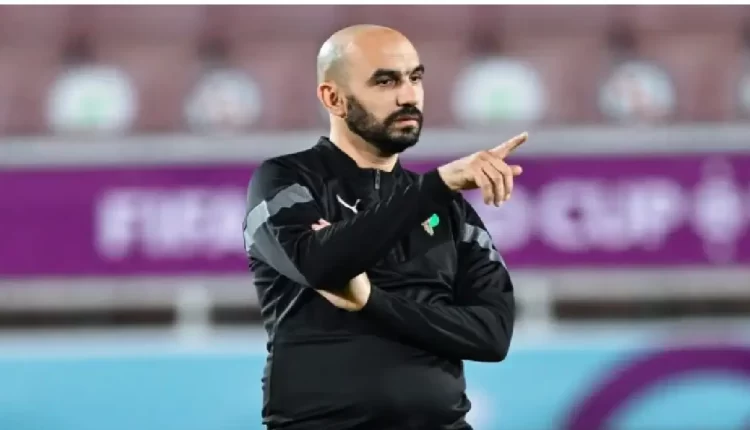 الركراكي يؤكد رفضه للضغوط ويستعد بقوة لكأس أمم أفريقيا
