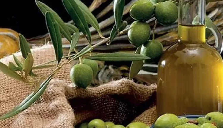 ارتفاع أسعار زيت الزيتون بالمغرب: الحكومة تتجه نحو استيراد لتعويض النقص