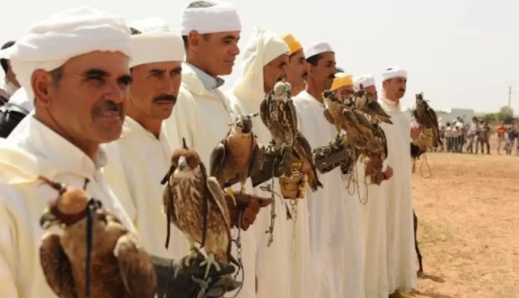 إقليم الجديدة: الاحتفال باليوم العالمي للصقر بجماعة أولاد فرج