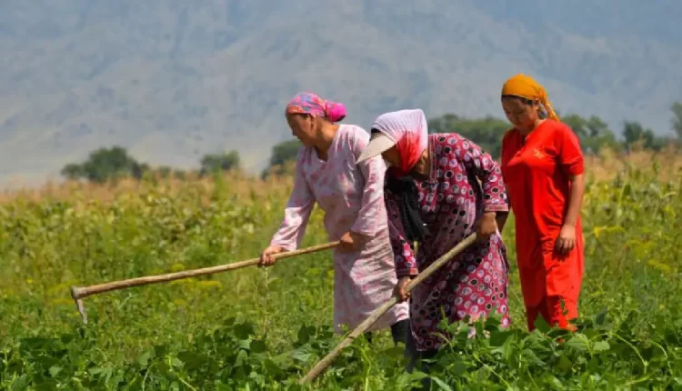 "تحديات المجتمعات الريفية في عصر العولمة: المرأة الريفية بين الأصالة والمعاصرة"