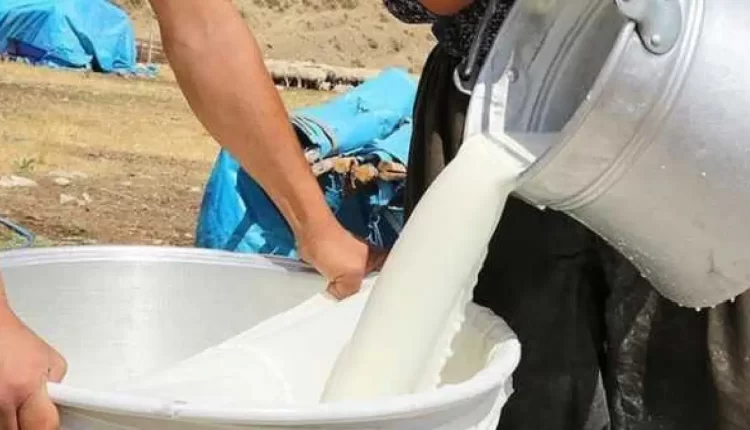 القلق يتصاعد في الأقاليم الجنوبية بسبب السل والحليب الخام