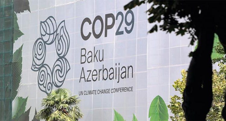 كوب 29