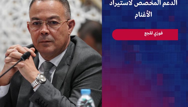 فوزي لقجع