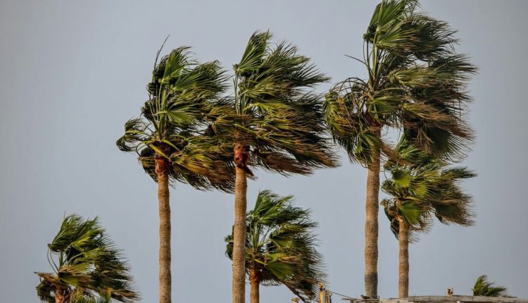 نشرة إنذارية: توقع هبوب رياح قوية بهاته المناطق من المغرب