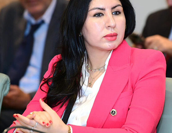 حنان أتركين