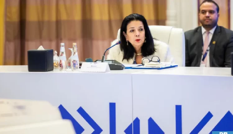 السغروشني: تشارك في أشغال الحوار الوزاري لمنظمة التعاون الرقمي حول الأخبار الزائفة