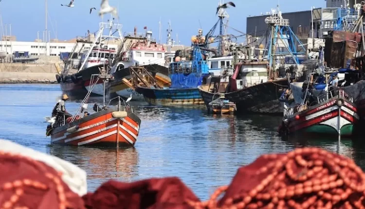 تأسيس نقابة جديدة للصيد التقليدي لتعزيز حقوق المهنيين والحوار مع الحكومة